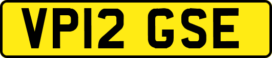 VP12GSE