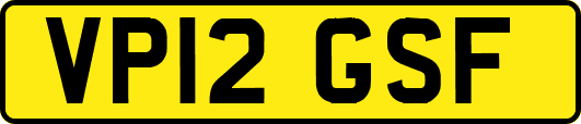 VP12GSF