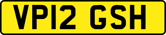 VP12GSH