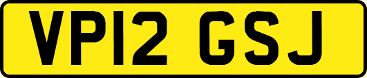 VP12GSJ