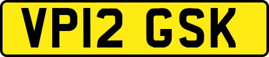 VP12GSK