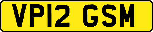 VP12GSM