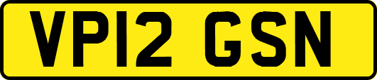 VP12GSN