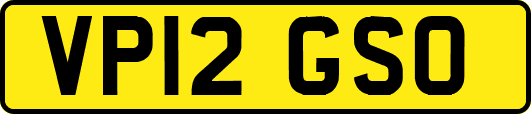 VP12GSO