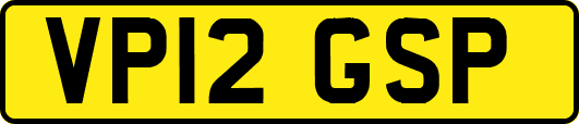 VP12GSP