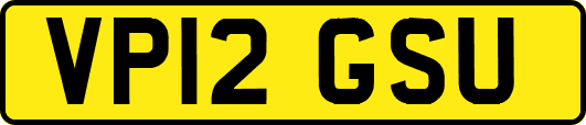 VP12GSU