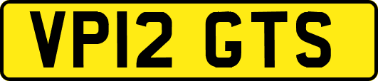 VP12GTS