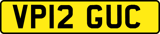 VP12GUC