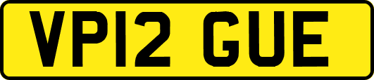 VP12GUE