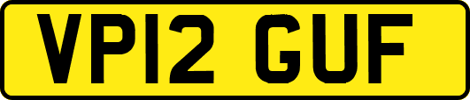 VP12GUF