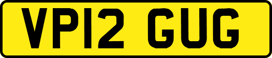 VP12GUG