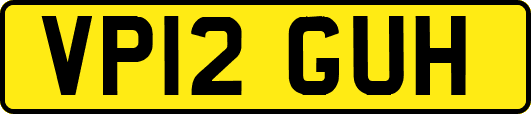 VP12GUH