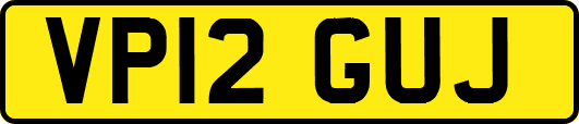 VP12GUJ