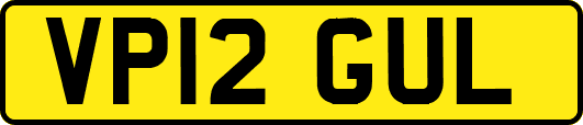 VP12GUL