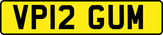 VP12GUM