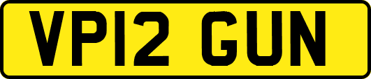 VP12GUN