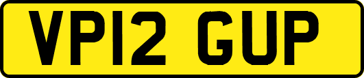 VP12GUP