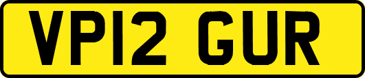 VP12GUR