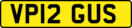 VP12GUS