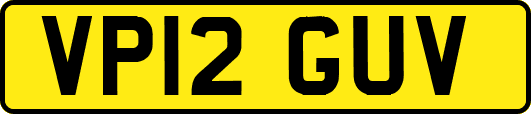 VP12GUV