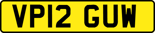 VP12GUW