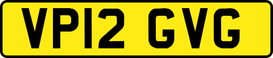 VP12GVG