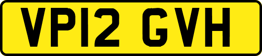 VP12GVH