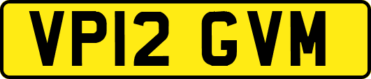 VP12GVM