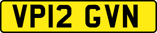VP12GVN
