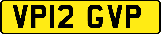 VP12GVP