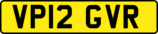 VP12GVR