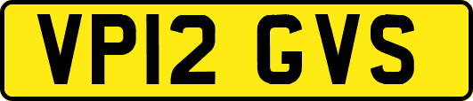 VP12GVS