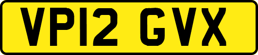 VP12GVX
