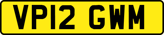 VP12GWM