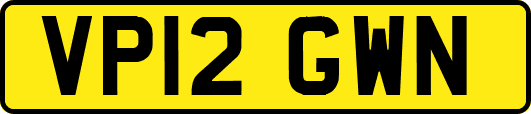 VP12GWN