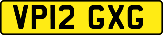 VP12GXG