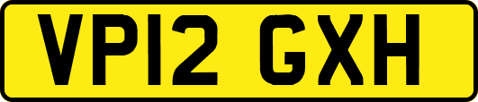 VP12GXH