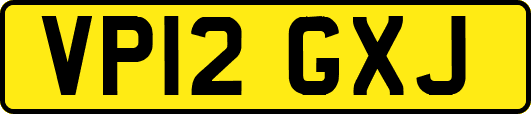 VP12GXJ