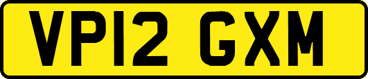 VP12GXM