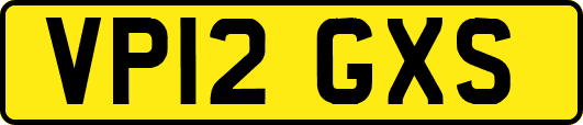 VP12GXS