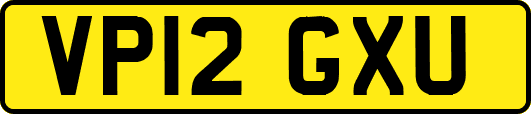 VP12GXU