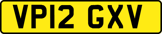 VP12GXV