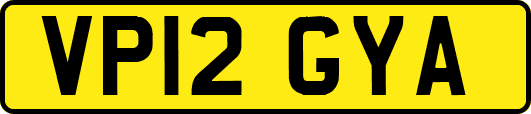 VP12GYA