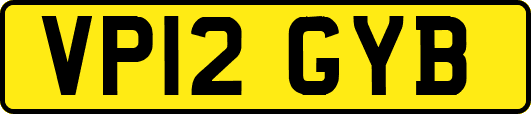 VP12GYB