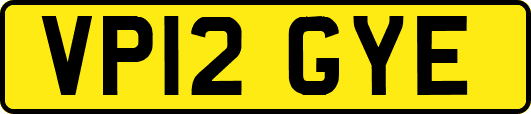 VP12GYE