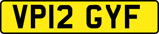 VP12GYF