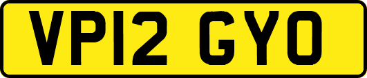 VP12GYO