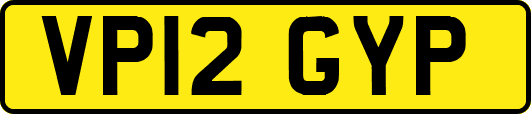 VP12GYP