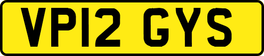 VP12GYS