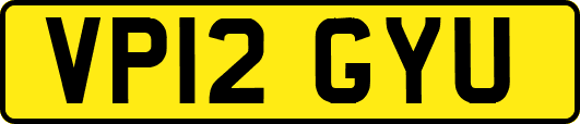 VP12GYU